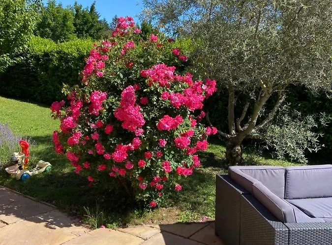 Dans Avec Piscine Bed and Breakfast 3*