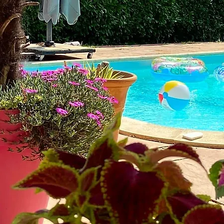 Bed and breakfast Dans Avec Piscine 3*